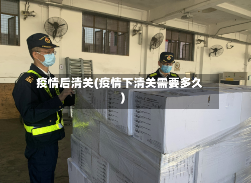 疫情后清关(疫情下清关需要多久)-第3张图片