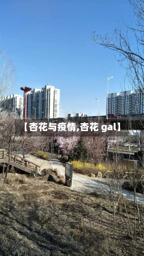 【杏花与疫情,杏花 gal】