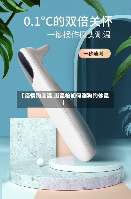 【疫情狗测温,测温枪如何测狗狗体温】-第2张图片