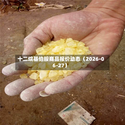 十二烷基伯胺商品报价动态（2026-06-27）-第2张图片