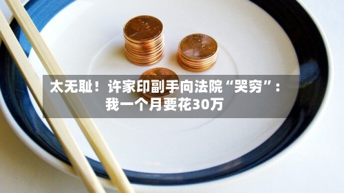太无耻！许家印副手向法院“哭穷	”：我一个月要花30万-第2张图片
