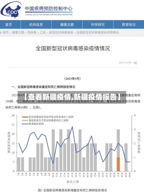 【查看新疆疫情,新疆疫情报告】-第2张图片