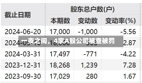 一夜之间，4家A股公司被查被罚