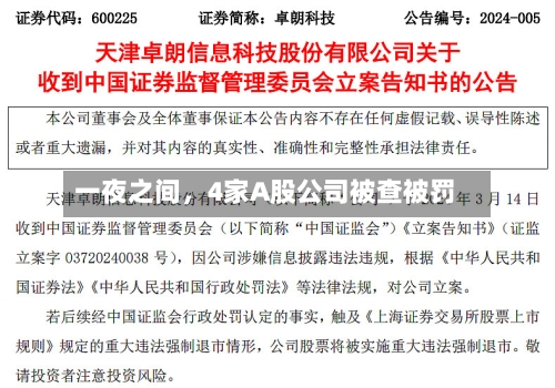 一夜之间	，4家A股公司被查被罚-第2张图片