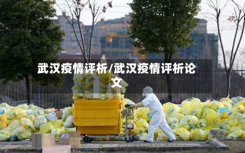 武汉疫情评析/武汉疫情评析论文