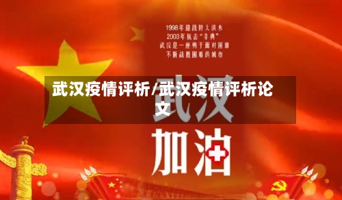 武汉疫情评析/武汉疫情评析论文-第2张图片