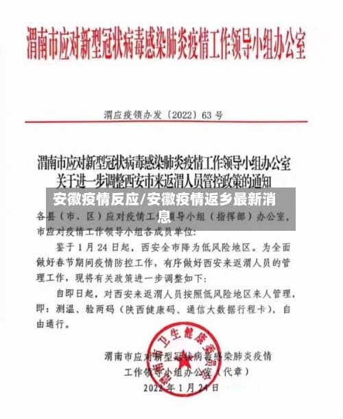 安徽疫情反应/安徽疫情返乡最新消息-第3张图片