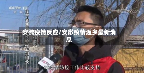 安徽疫情反应/安徽疫情返乡最新消息-第2张图片