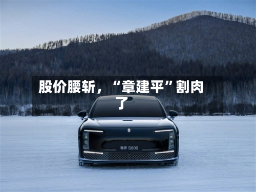 股价腰斩，“章建平”割肉了-第2张图片