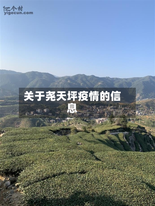 关于尧天坪疫情的信息