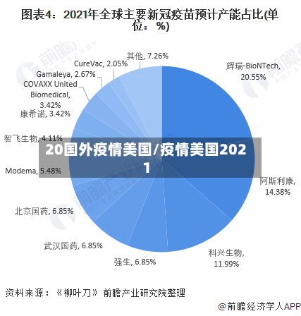 20国外疫情美国/疫情美国2021