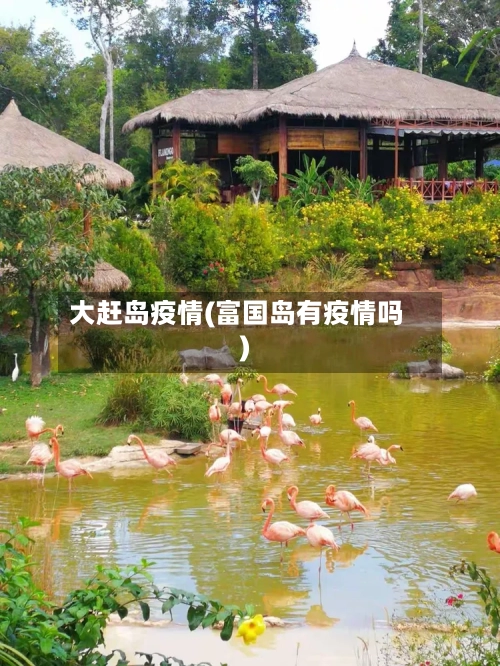 大赶岛疫情(富国岛有疫情吗)