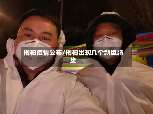 桐柏疫情公布/桐柏出现几个新型肺炎-第2张图片