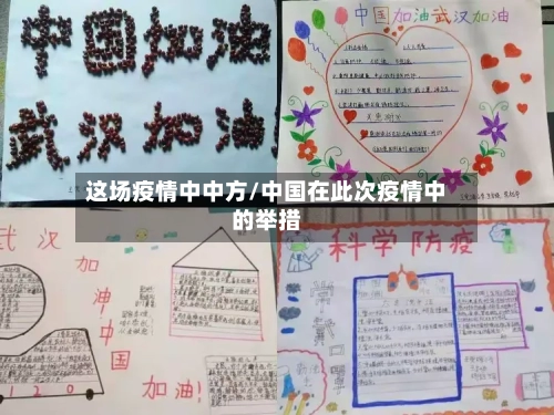 这场疫情中中方/中国在此次疫情中的举措-第2张图片