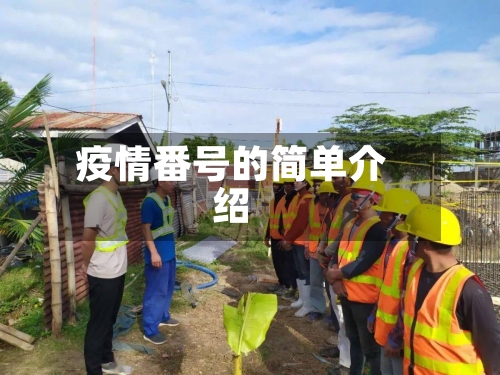 疫情番号的简单介绍