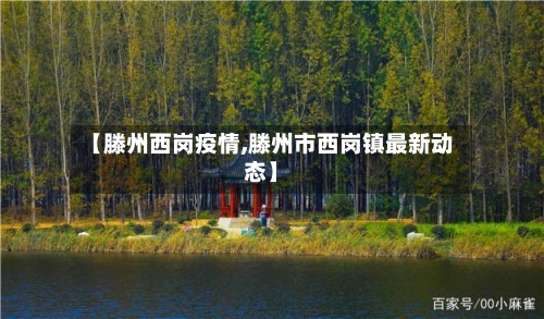 【滕州西岗疫情,滕州市西岗镇最新动态】