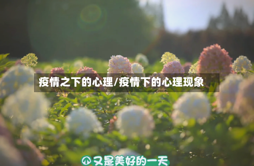 疫情之下的心理/疫情下的心理现象