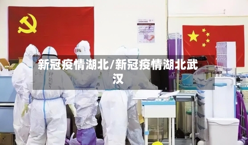 新冠疫情湖北/新冠疫情湖北武汉