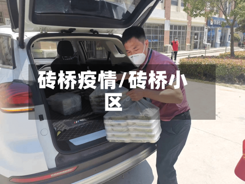砖桥疫情/砖桥小区