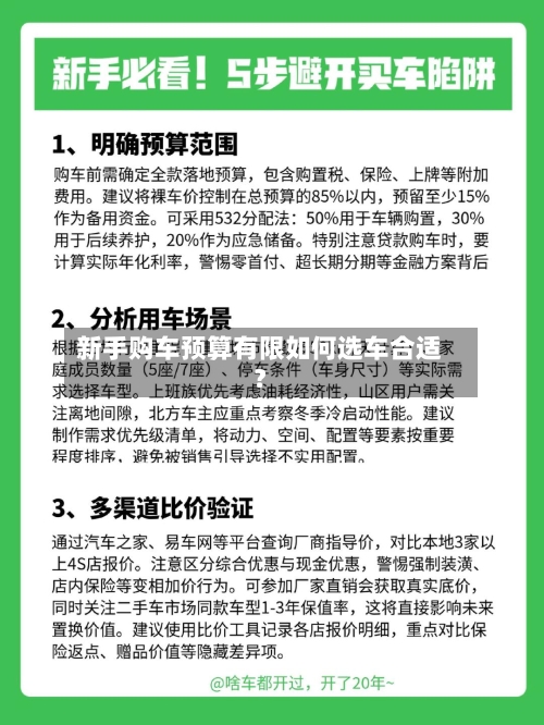 新手购车预算有限如何选车合适？-第2张图片