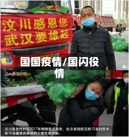 国国疫情/国闪役情