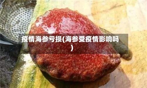 疫情海参亏损(海参受疫情影响吗)