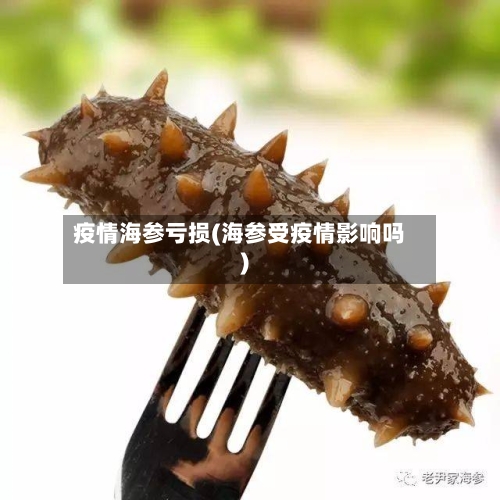 疫情海参亏损(海参受疫情影响吗)-第2张图片