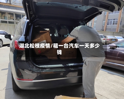 湖北松枝疫情/租一台汽车一天多少钱-第3张图片