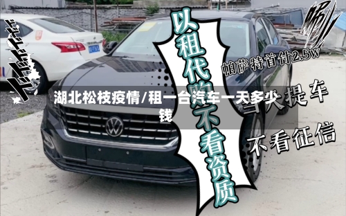 湖北松枝疫情/租一台汽车一天多少钱