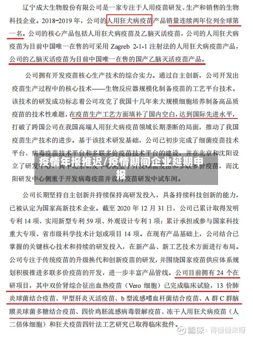 疫情年报推迟/疫情期间企业延期申报-第2张图片