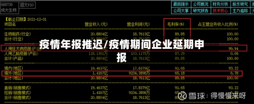 疫情年报推迟/疫情期间企业延期申报
