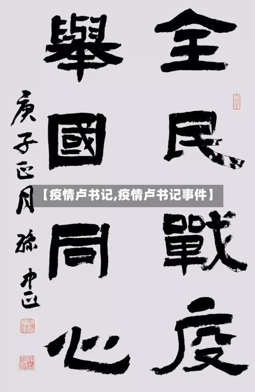 【疫情卢书记,疫情卢书记事件】