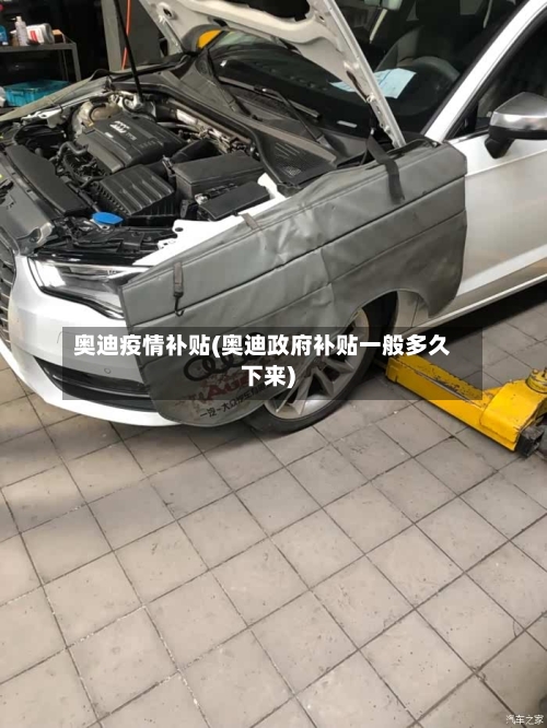 奥迪疫情补贴(奥迪政府补贴一般多久下来)
