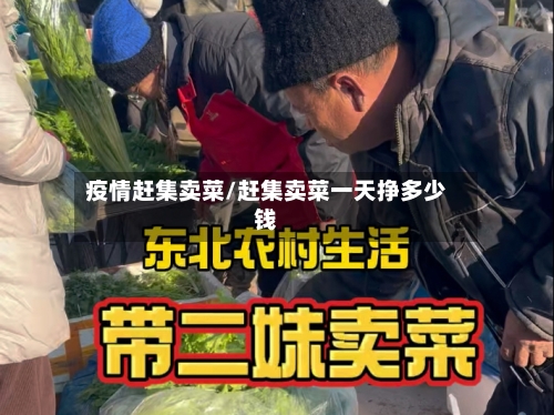 疫情赶集卖菜/赶集卖菜一天挣多少钱-第3张图片