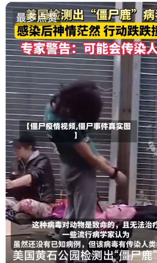 【僵尸疫情视频,僵尸事件真实图】