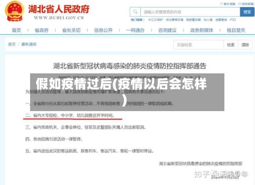 假如疫情过后(疫情以后会怎样)