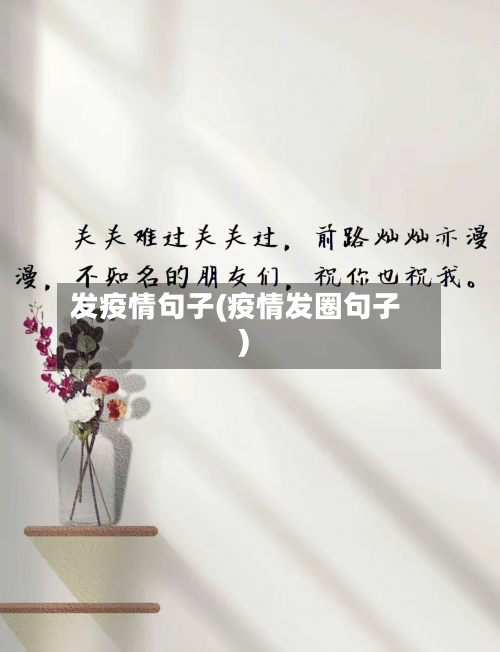 发疫情句子(疫情发圈句子)