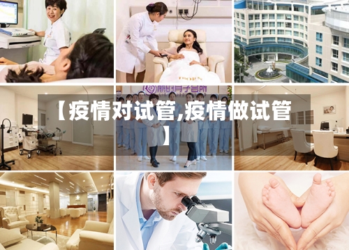 【疫情对试管,疫情做试管】-第2张图片