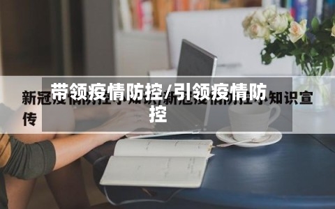 带领疫情防控/引领疫情防控-第2张图片