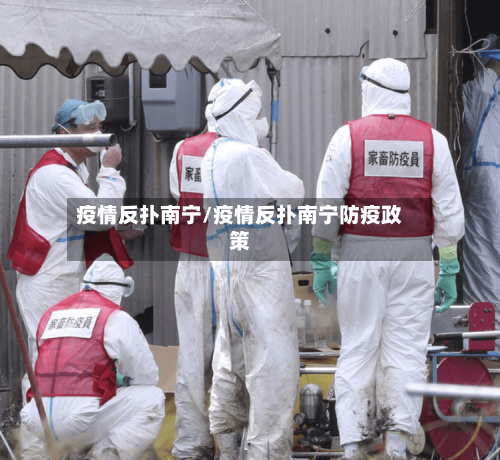 疫情反扑南宁/疫情反扑南宁防疫政策-第3张图片