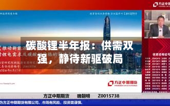 碳酸锂半年报：供需双强，静待新驱破局-第2张图片