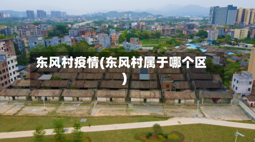 东风村疫情(东风村属于哪个区)