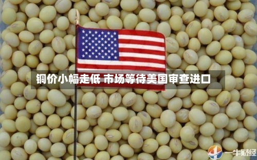 铜价小幅走低 市场等待美国审查进口