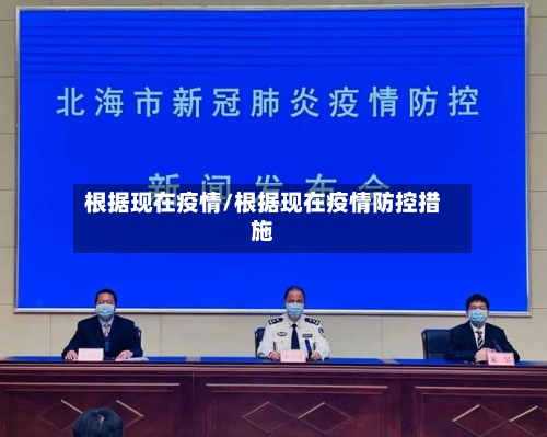 根据现在疫情/根据现在疫情防控措施