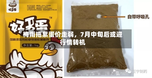 梅雨拖累蛋价走弱，7月中旬后或迎行情转机-第2张图片