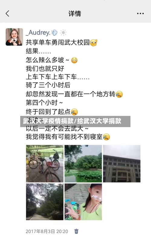 武汉大学疫情捐款/给武汉大学捐款