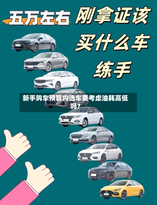 新手购车预算内选车要考虑油耗高低吗?-第2张图片
