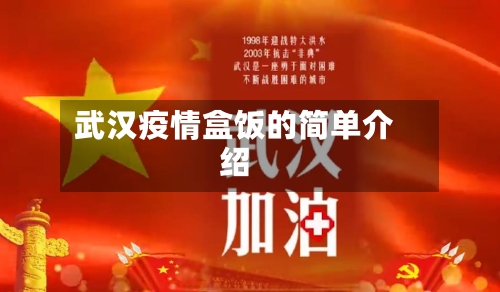 武汉疫情盒饭的简单介绍