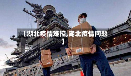 【湖北疫情难控,湖北疫情问题】-第2张图片