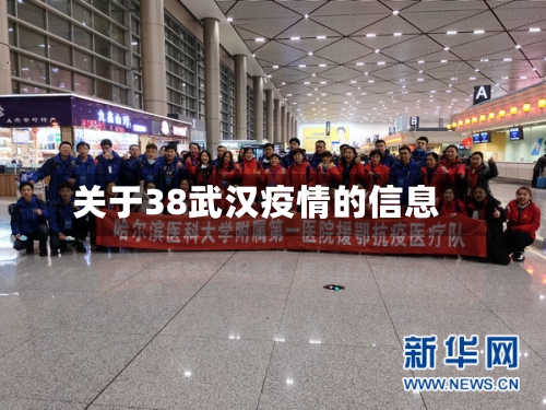 关于38武汉疫情的信息-第3张图片